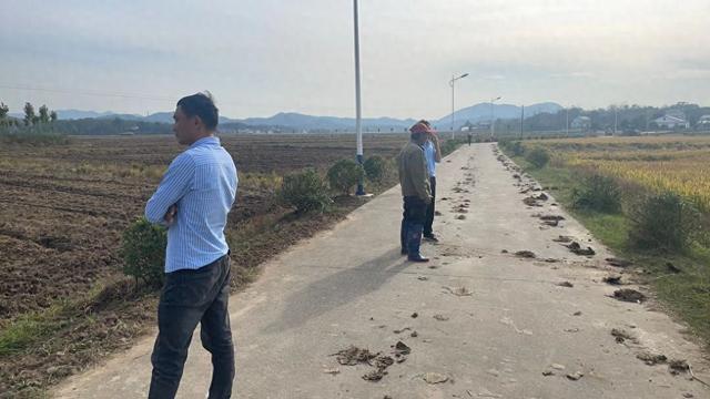 ：全力推动秋种季紧抓落实促丰收米乐m6登录入口舒城县干汊河镇
