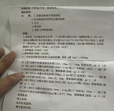 甲医院面对常见蛇伤却毫无办法三亚被蛇咬死的美女真冤堂堂三(图7)
