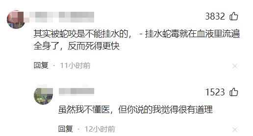 甲医院面对常见蛇伤却毫无办法三亚被蛇咬死的美女真冤堂堂三(图10)